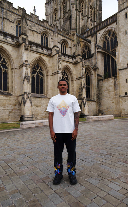 Arcanix Fuji Tee