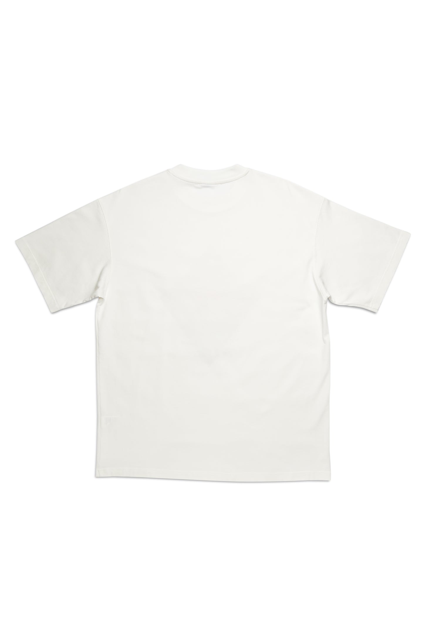 Arcanix Fuji Tee