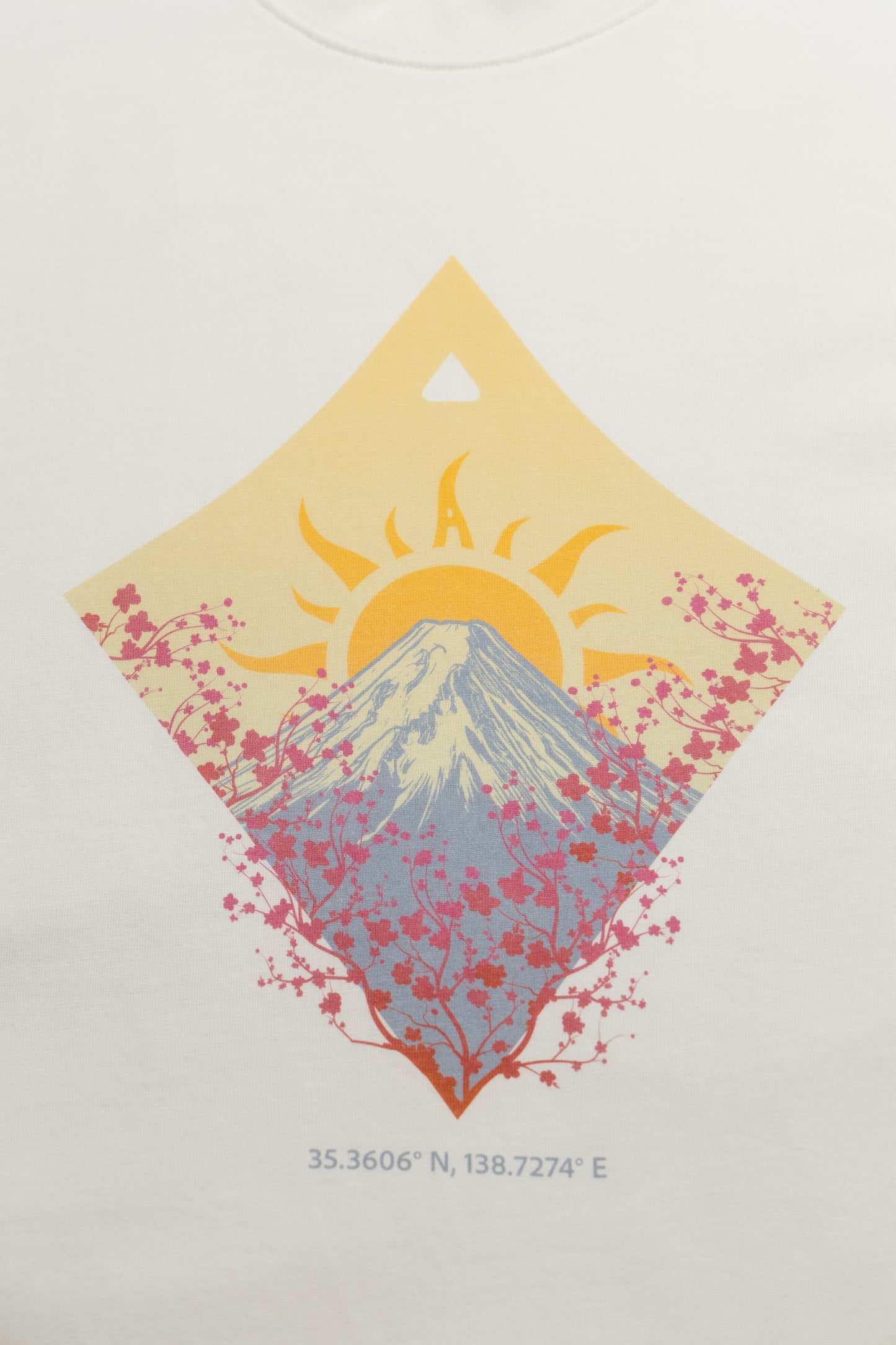 Arcanix Fuji Tee